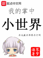 我的掌中小世界在线阅读