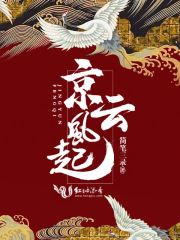 云风起运录
