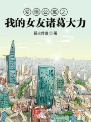爱情公寓之我的女友诸葛大力在线阅读