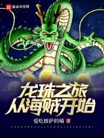 龙珠之旅从海贼开始在线阅读