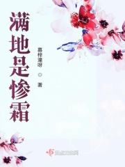 满地是惨霜在线阅读
