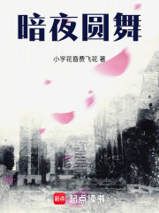 暗夜圆舞