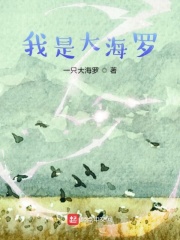 我是大海罗