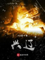 兴辽在线阅读