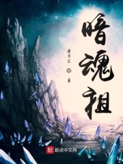 暗魂祖在线阅读