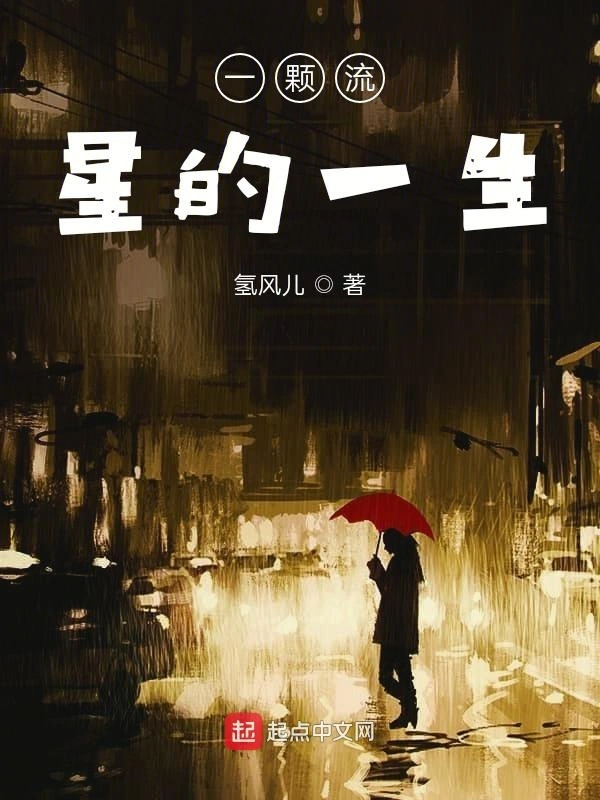 一颗流星的一生