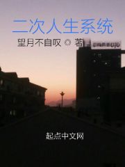 二次人生系统在线阅读