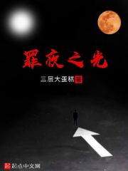 罪夜之光在线阅读
