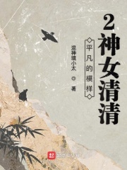 平凡的模样2神女清清在线阅读