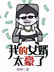 我的女婿太豪了