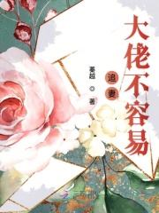 追妻大佬不容易在线阅读