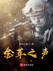 金革之声在线阅读