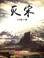 灭宋封面