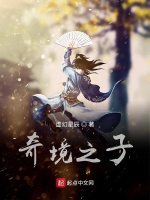 奇境之子在线阅读