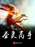 圣灵高手在线阅读