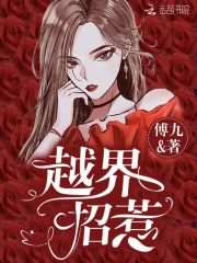 越界招惹在线阅读