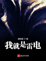 我就是雷电在线阅读