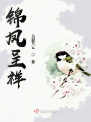 锦凤呈祥在线阅读