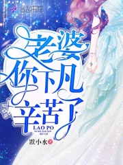 老婆你下凡辛苦了在线阅读