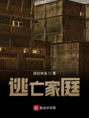 逃亡家庭在线阅读