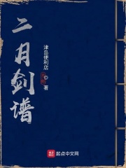 二月剑谱