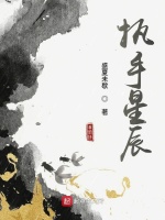 执手星辰在线阅读