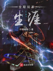 全职玩家生涯在线阅读