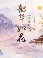 韶华如花花落如华在线阅读