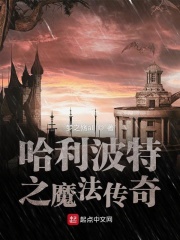 哈利波特之啥也不是在线阅读