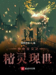 神奇宝贝之精灵现世在线阅读