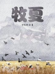 牧夏在线阅读