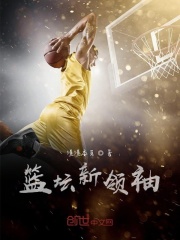 篮坛新领袖在线阅读