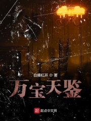 万宝天鉴在线阅读