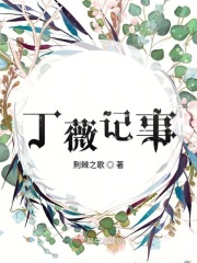 丁薇记事在线阅读