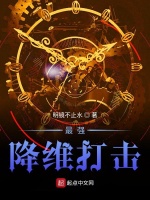 最强降维打击封面