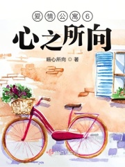 爱情公寓6心之所向在线阅读