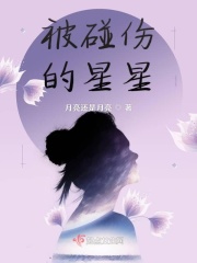 被碰伤的星星