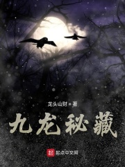 九龙秘藏
