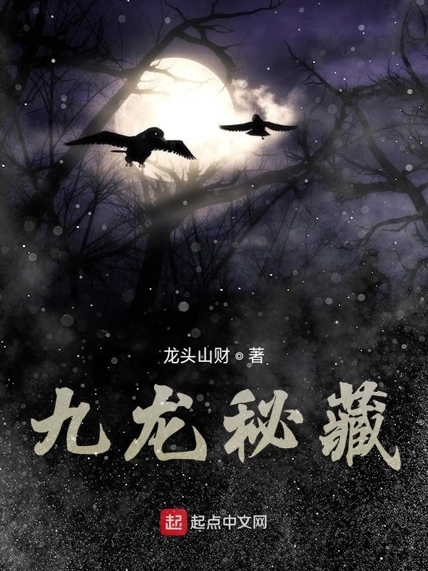 九龙秘藏