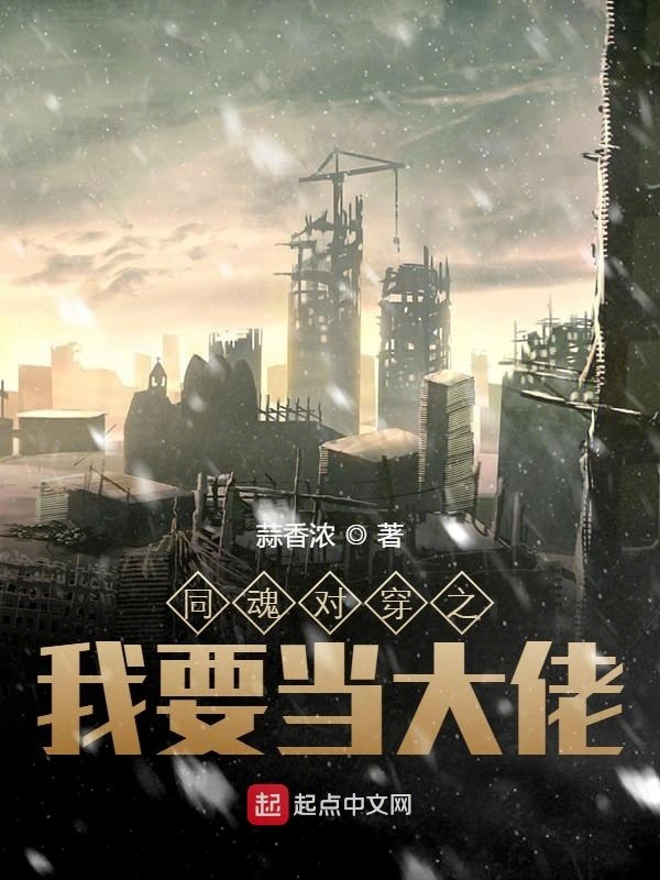 同魂对穿之我要当大佬