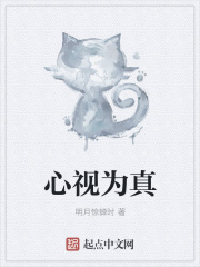 心视为真在线阅读