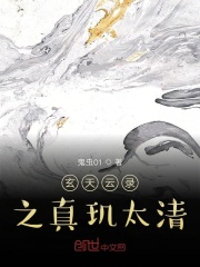 玄天云录之真玑太清在线阅读
