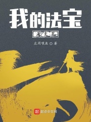 我的法宝