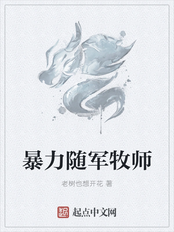 暴力随军牧师