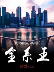 爱情公寓的全能明星
