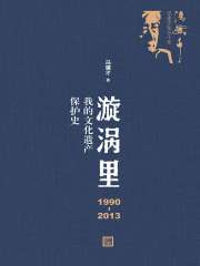 漩涡里：1990—2013我的文化遗产保护史在线阅读