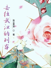 去往武汉的列车