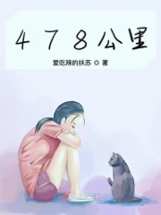 478公里在线阅读