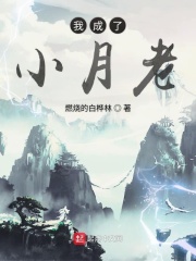我成了小月老在线阅读