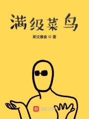 满级菜鸟在线阅读